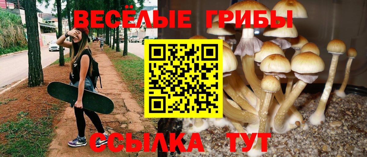 Псилоцибиновые грибы мухоморы  Вход с VPN  Славгород 