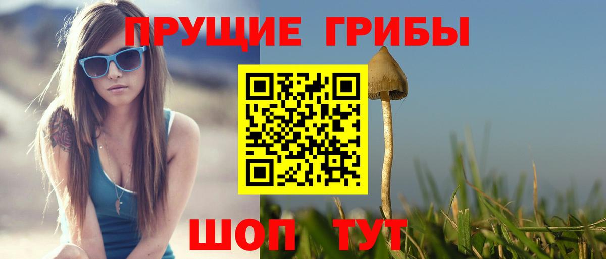 Галлюциногенные грибы Magic Shrooms Славгород